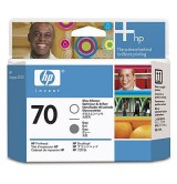 HP 70 Gloss Enhancer and Gray Printhead