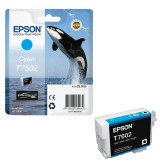 Epson T7602 Cyan